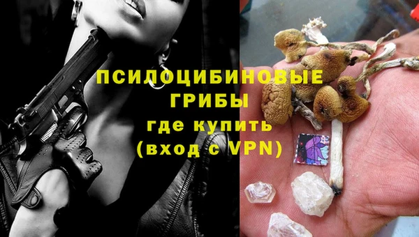 бутират Богородицк