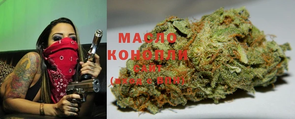 гидра Нязепетровск